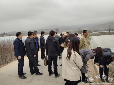 鄭州商品交易所深入天水開展馬鈴薯產業(yè)調研，助力期貨市場服務鄉(xiāng)村振興